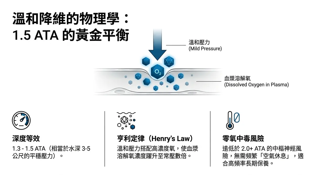 文章插圖
