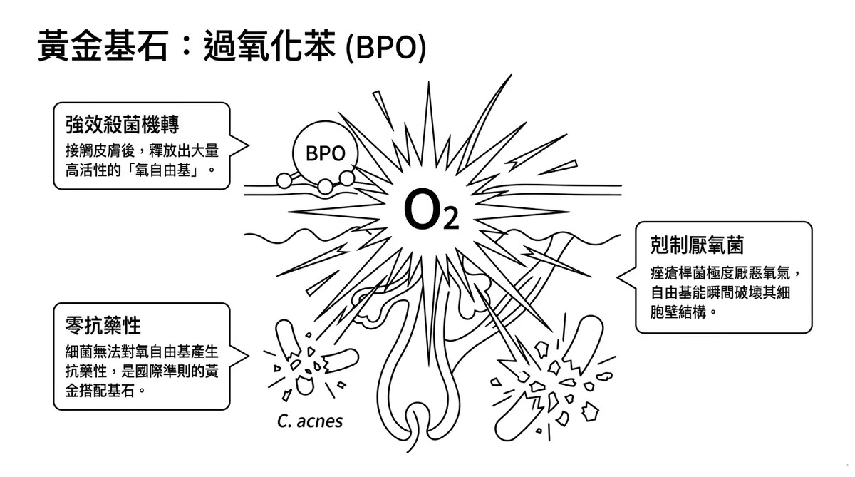 文章插圖