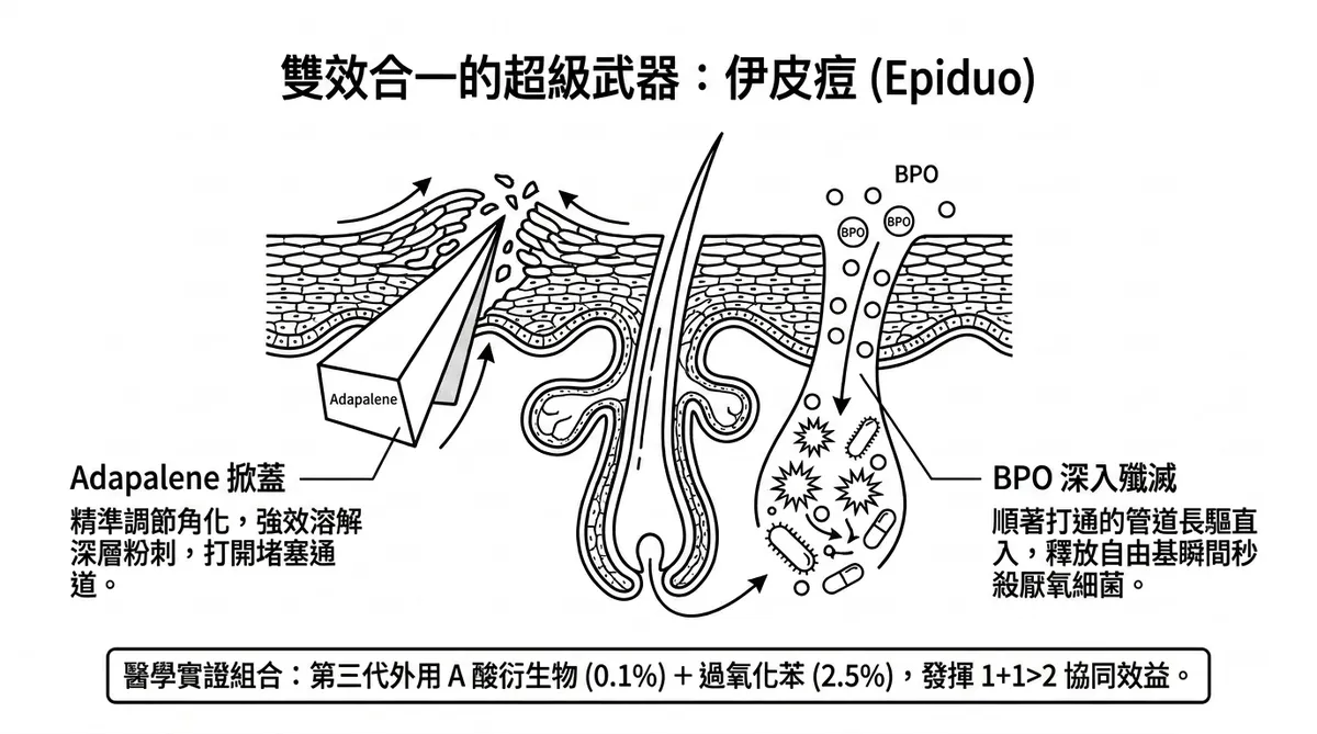 文章插圖