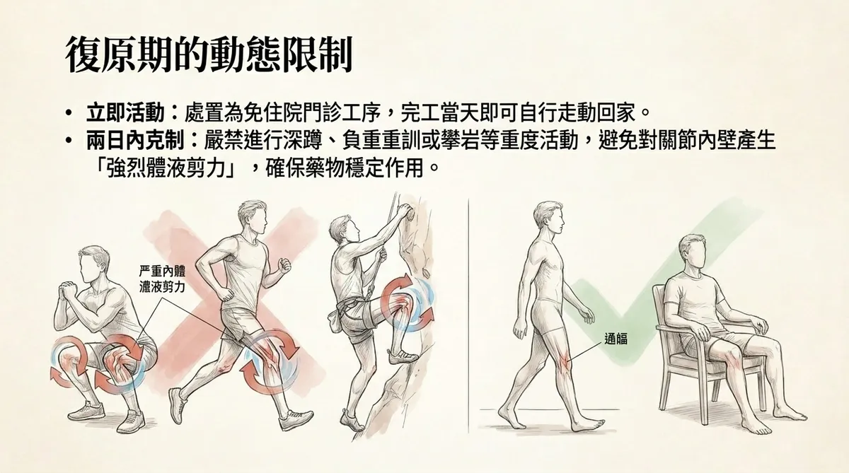 復原期的動態限制：圖左標示禁止劇烈深蹲、負重與攀岩，避免對關節內壁產生強烈拉扯力量；圖右標示建議正常步行、久坐適度伸展、坐姿休息等正確的復原期起臥活動
