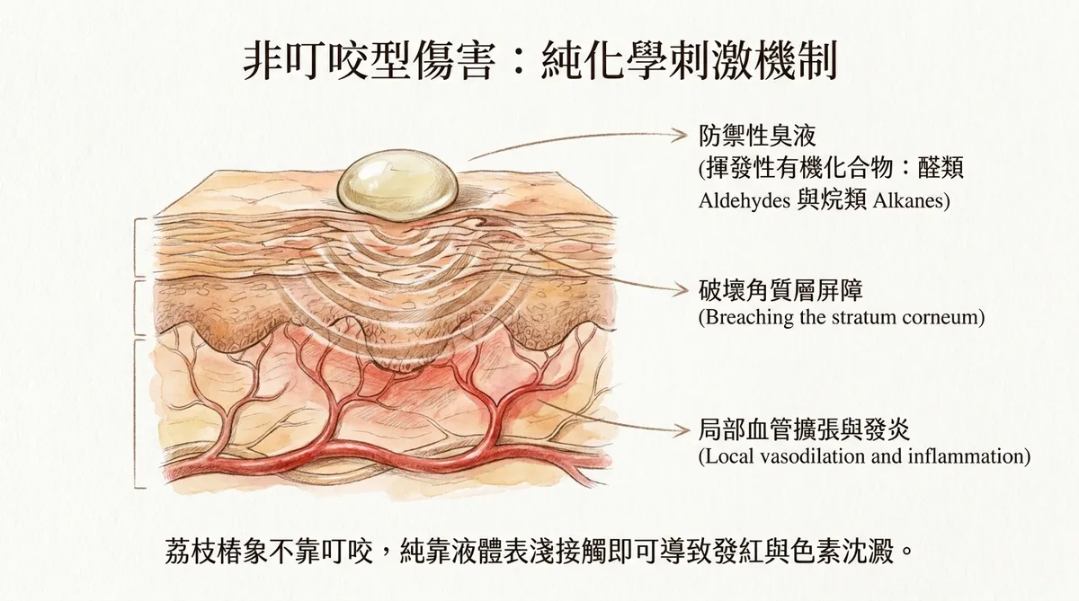 非叮咬型傷害:純化学刺激機制
