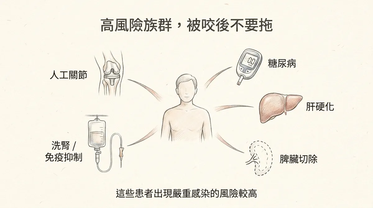 犬貓咬傷高感染風險族群:糖尿病、肝硬化、脾切除、洗腎免疫低下與人工關節患者