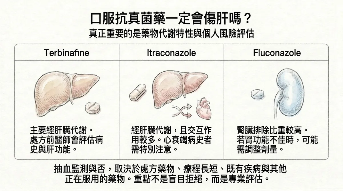 口服抗真菌藥一定會傷肝嗎?Terbinafine、Itraconazole與Fluconazole代謝特性與風險評估圖解