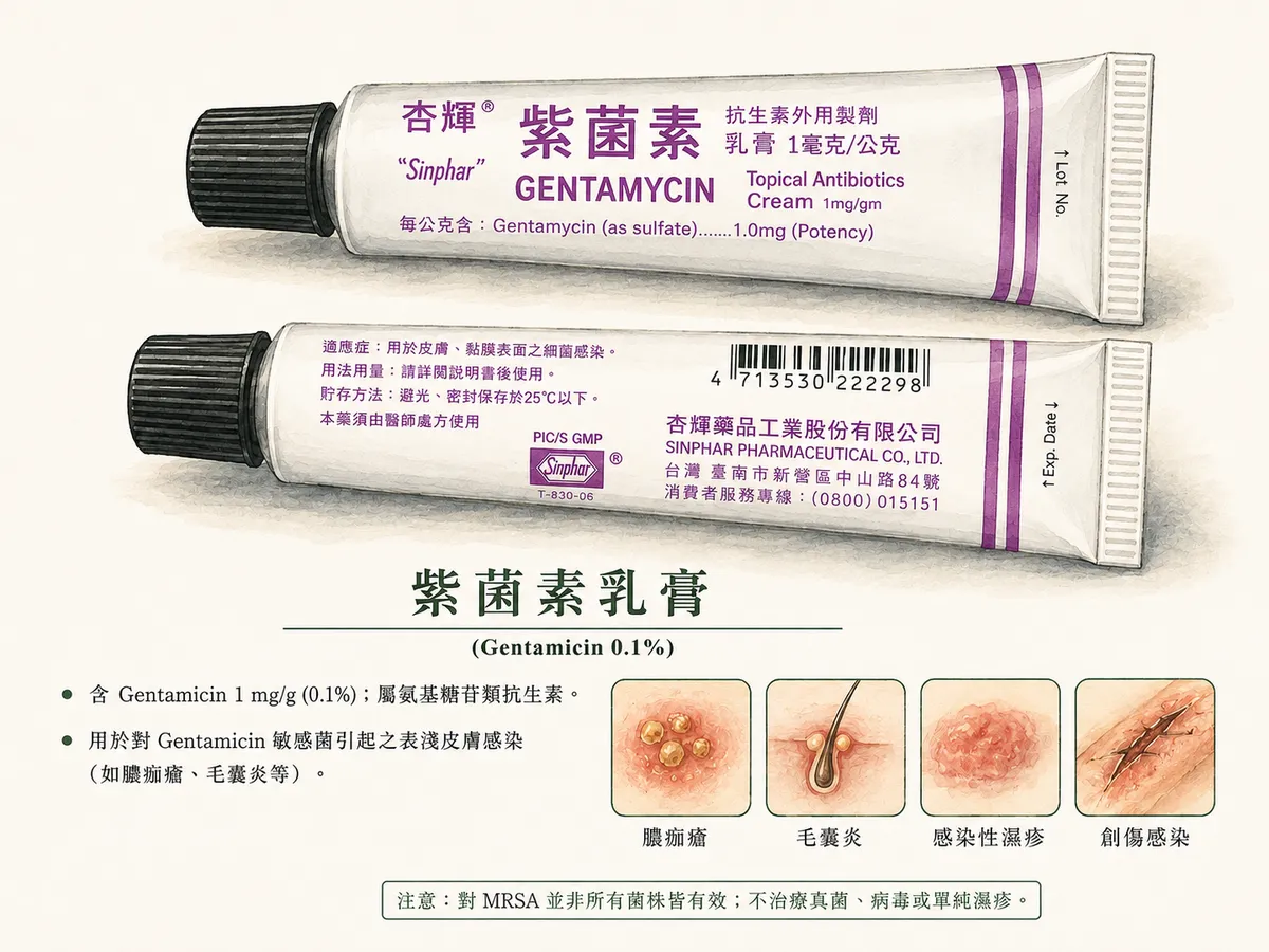 紫菌素乳膏 (Gentamicin 0.1%) 外觀、單方氨基糖苷類成分與適用情境
